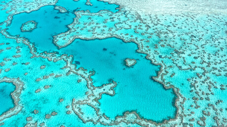 Deep learning used in Great Barrier Reef conservation