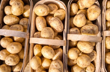 Making potato supply chains more sustainable