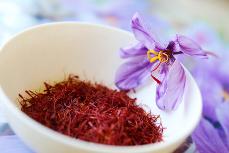 Potential saffron substitute discovered