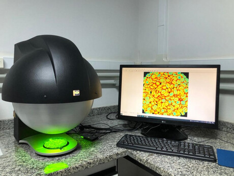 Coffee beans sorted using multispectral imaging and AI