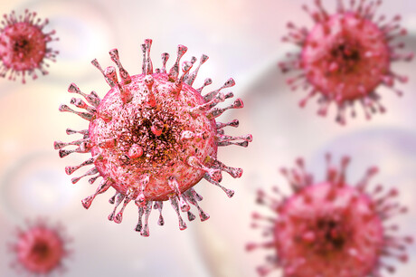 QIMR Berghofer to collaborate on cytomegalovirus vaccine QIMR Berghofer to collaborate on cytomegalovirus vaccine