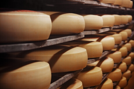 Yes whey: cheesemaking waste could make diabetic sweetener