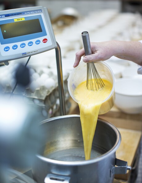 Secrets of emulsifiers for cake manufacturers