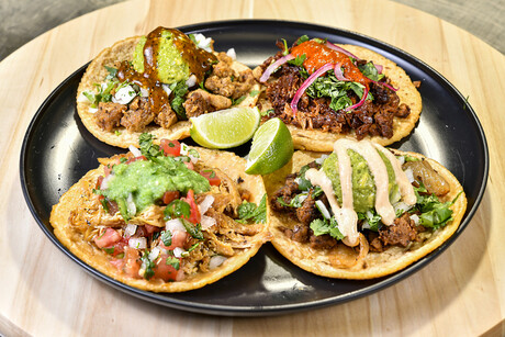 Magic Valley creates cultivated lamb-free prototype