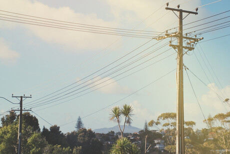 Proceedings filed against NZ electricity co Proceedings filed against NZ electricity co