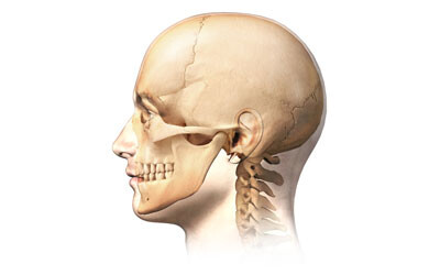 Repeated concussions can thicken the skull bones