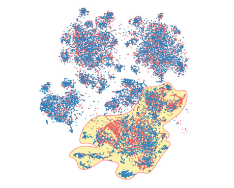 Cellular &#39;waste product&#39; helps immune cells to fight cancer