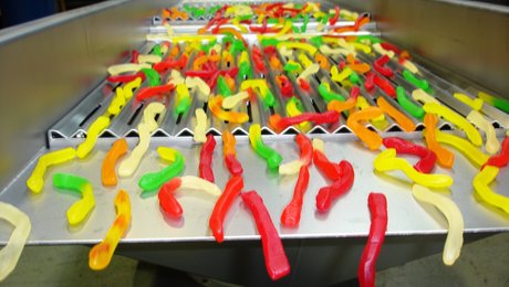 Weighing snakes Weighing snakes