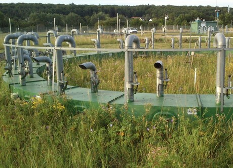 Planting trees not always effective at binding CO2