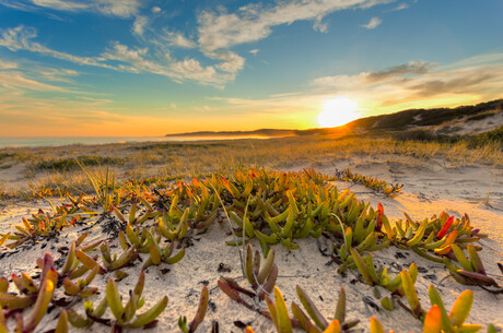 Preparing the next gen of environmental specialists