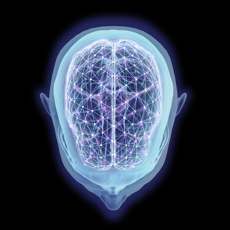 Metabolism linked to brain health