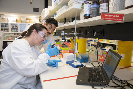 It is time to start the renaissance of aptamers