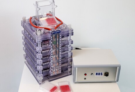 Magnetic field helps to grow meat in the lab