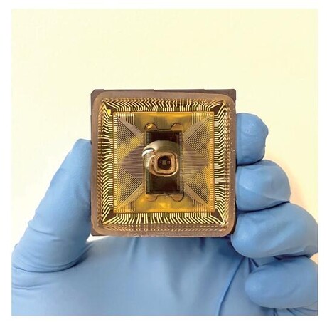 Researchers introduce ionic circuits that compute in water Researchers introduce ionic circuits that compute in water