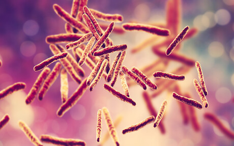 Five-year project to develop next-gen TB vaccines Five-year project to develop next-gen TB vaccines