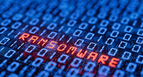 SMEs: how to move from naivety to cyber resilience