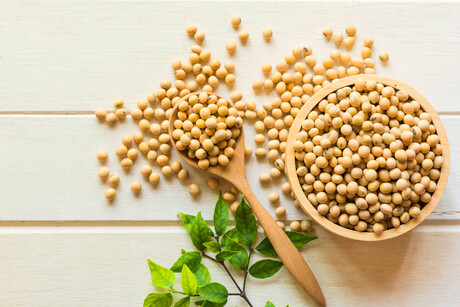 Does processing soy lessen its nutritional benefits?