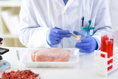 US regulatory framework to reduce salmonella from poultry products