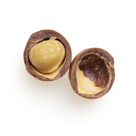 New macadamia varieties to lower production costs