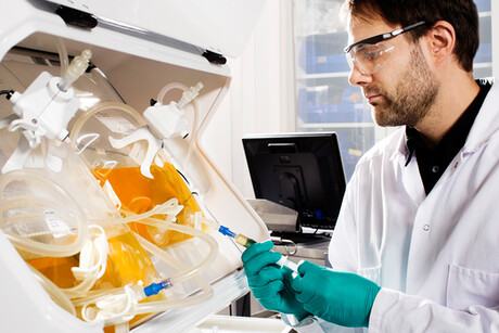 Cell culture titre &amp; protein quality: using the right medium can help you increase quantity, quality or both