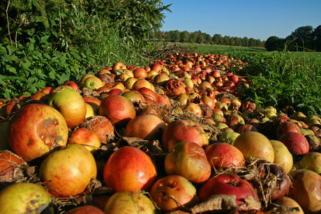 NZ initiative to reduce food waste across supply chain NZ initiative to reduce food waste across supply chain