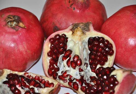 Pomegranate metabolite boosts tumour-fighting immune cells