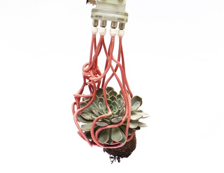 Tentacle gripper can gently grasp fragile objects Tentacle gripper can gently grasp fragile objects