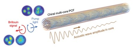 Unidirectional device developed for optical vortices