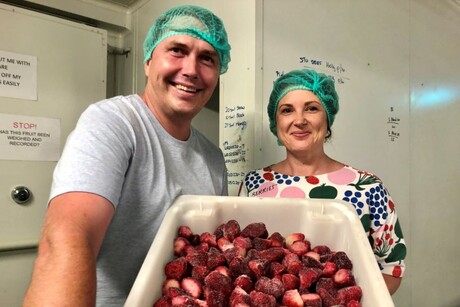 &#39;Popcorn of fruit&#39; innovators&#39; business named #eatqld champion