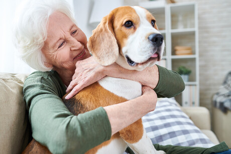 Study explores the impact of pets in aged care