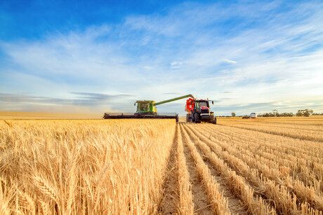 A decade of grains market innovation and success