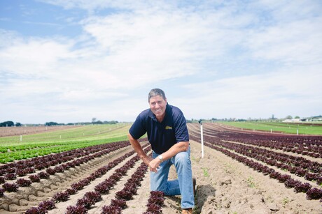 New Directors appointed to AUSVEG Board