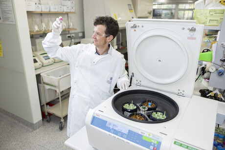 A second chance for UQ&#39;s molecular clamp vaccine platform