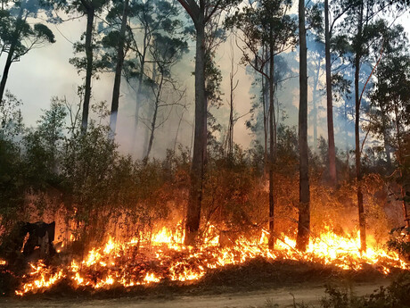 Schools roll out bushfire STEM program