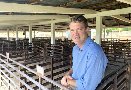 Report: US hungry for world's best beef Report: US hungry for world's best beef