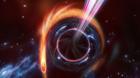 Black hole observed ripping apart a star