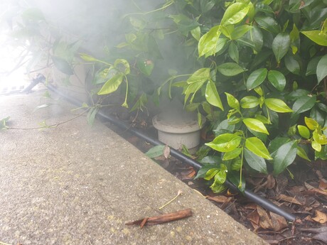 Using smoke to draw out sneaky stormwater