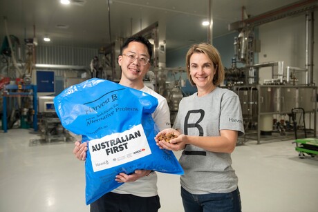 Harvest B opens plant-based meat ingredient facility in Sydney
