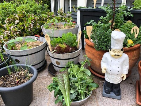 Horticulture therapy to improve care