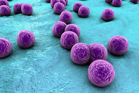 Light therapy eliminates antibiotic-resistant superbugs Light therapy eliminates antibiotic-resistant superbugs