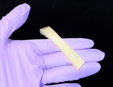 Versatile hydrogel made from squid tissues and polymers Versatile hydrogel made from squid tissues and polymers