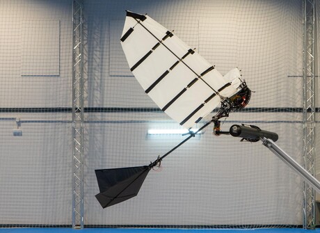 Winged robot can land like a bird