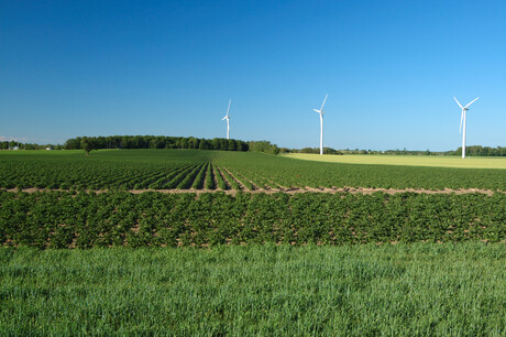 Australian agrifood investment platform expected to grow