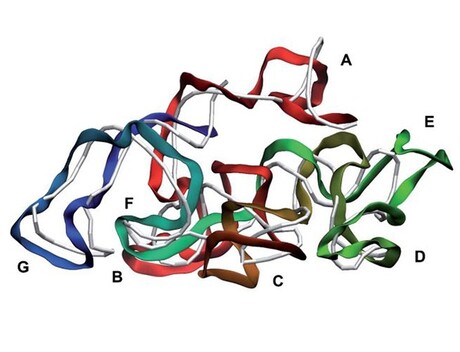 Researcher creates computer reconstruction of a virus