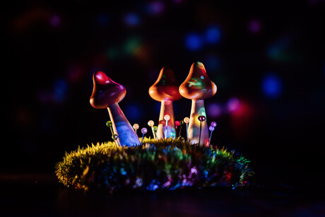 TGA&#39;s psychedelics approval welcomed but experts urge caution