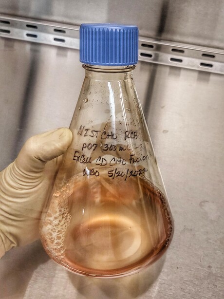 A living reference material for producing monoclonal antibodies