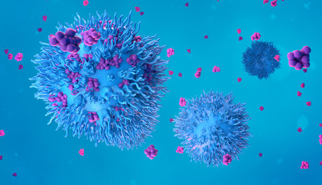 FSANZ calls for comment on enzyme processing aids