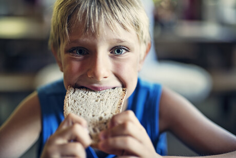 New pulse ingredient for bread shows satisfying results