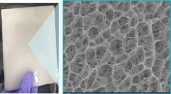 Loofah-inspired hydrogel for water purification