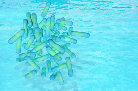 Water testing can fail to detect Legionella: study
